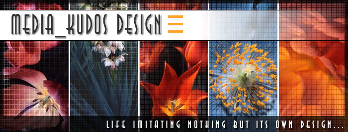 Banner Collage Slideshow